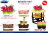 ro-bau-nho - ảnh nhỏ  1